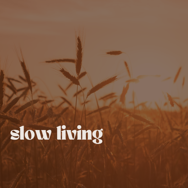 Article Laure dodier slow entrepreneuriat interview laure dodier slow entrepreneuriat dans article cacydio écrit par charlotte maury delrieu
